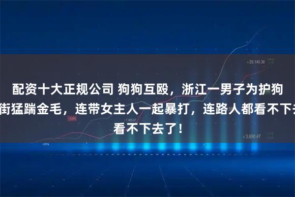 配资十大正规公司 狗狗互殴，浙江一男子为护狗，当街猛踹金毛，连带女主人一起暴打，连路人都看不下去了！