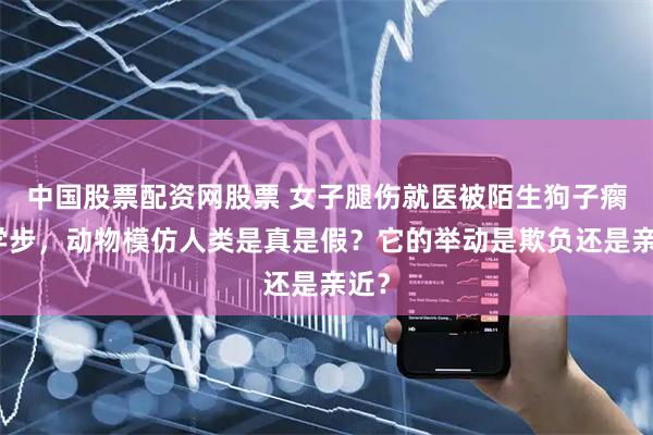 中国股票配资网股票 女子腿伤就医被陌生狗子瘸腿学步，动物模仿人类是真是假？它的举动是欺负还是亲近？